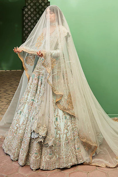 Royal Bridal Walima Dress 