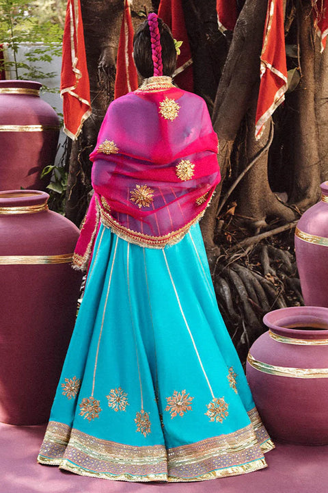 Pakistani Wedding Dress Pishwas Dress