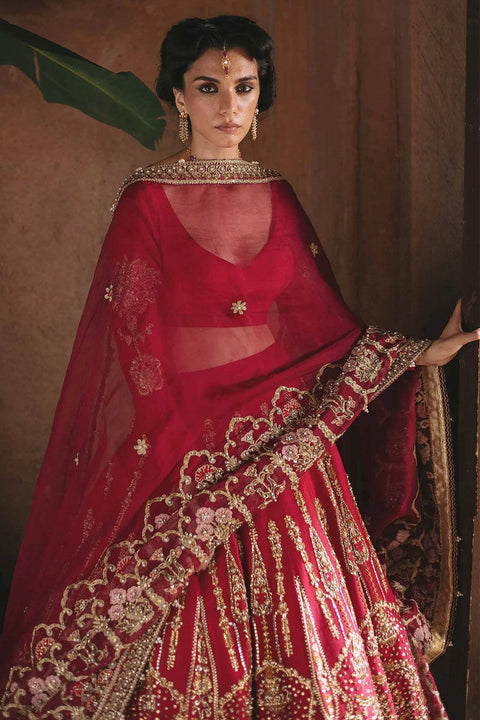 Red Pakistani Lehnga Choli 
