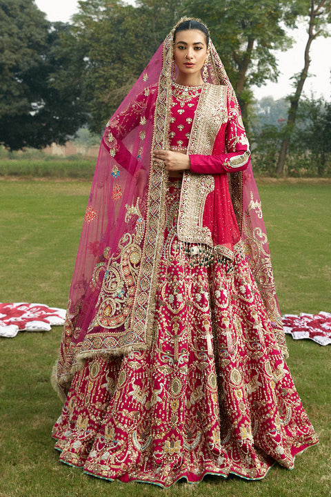 Pakistani Bridal Traditional Red lehenga Choli Dress with double dupatta 