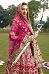 Pakistani Bridal Traditional Red lehenga Choli Dress with double dupatta 