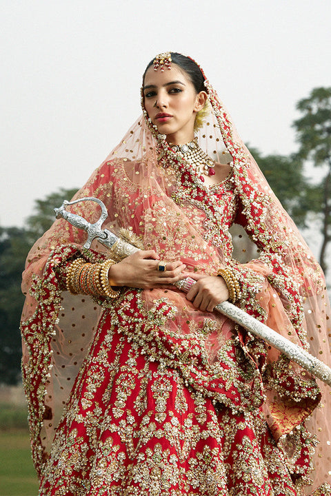 Royal Pakistani Bridal wedding Dress