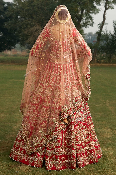 Royal Pakistani Bridal wedding Dress