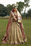 Bridal Royal Pakistani Wedding Dress (Sultana)