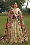 Bridal Royal Pakistani Wedding Dress (Sultana)