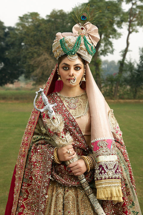 Pakistani Wedding Dress 
