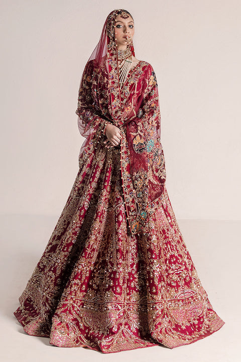 Traditional Pakistani Bridal wedding dress