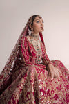 Traditional Pakistani Bridal wedding dress