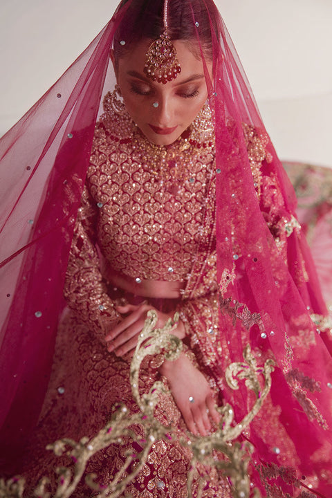Designer Pakistani Bridal dress
