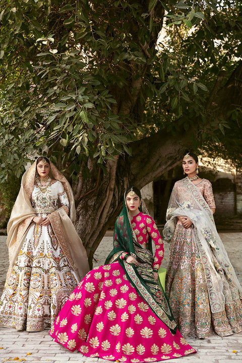 Pakistani Wedding Dress in white