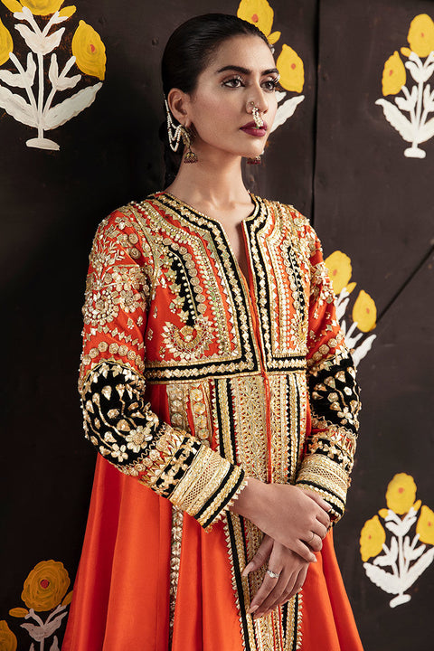 Pakistani wedding Dress Silk Pishwas Sharara
