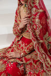 Pakistani Red Lehnga Choli Dress 