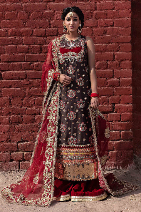 Pakistani Party Wear (Baamei)