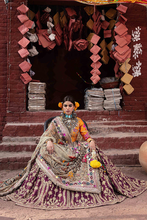 Lehenga Choli Pakistani Bridal Dress 
