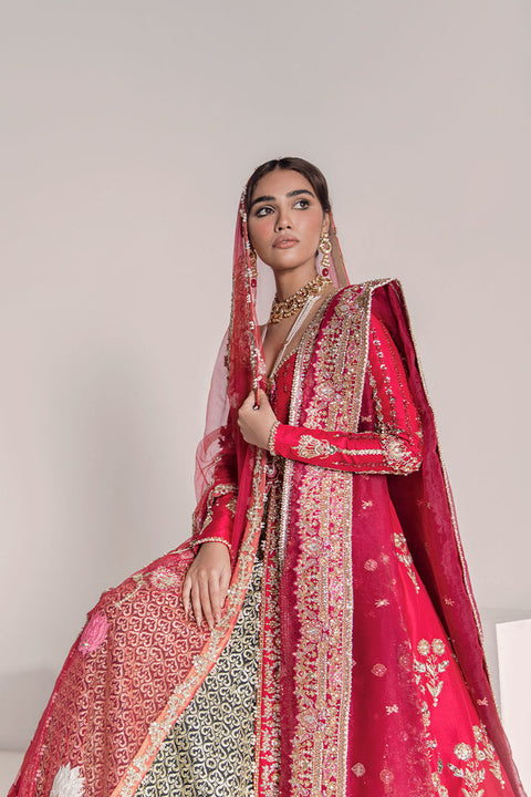 Red lehenga Wedding Dress