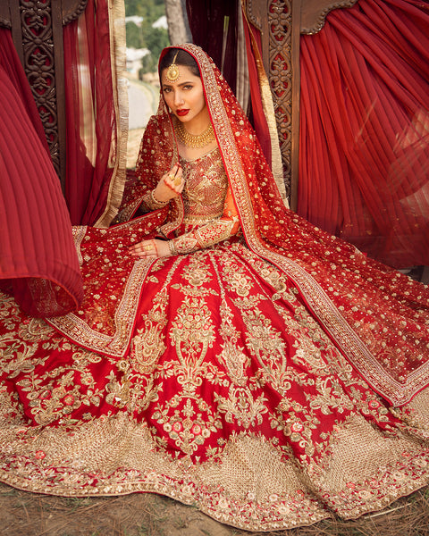 Beautiful Pakistani Wedding Red Bridal Lehnga Choli (Zarmina)