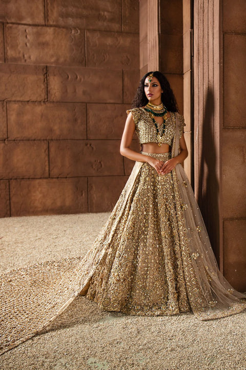 Pakistani Wedding Dress