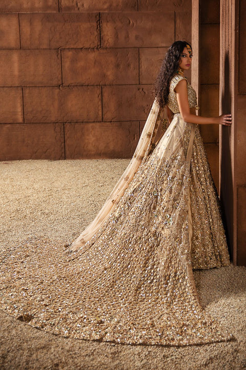 Pakistani Wedding Dress lehenga 