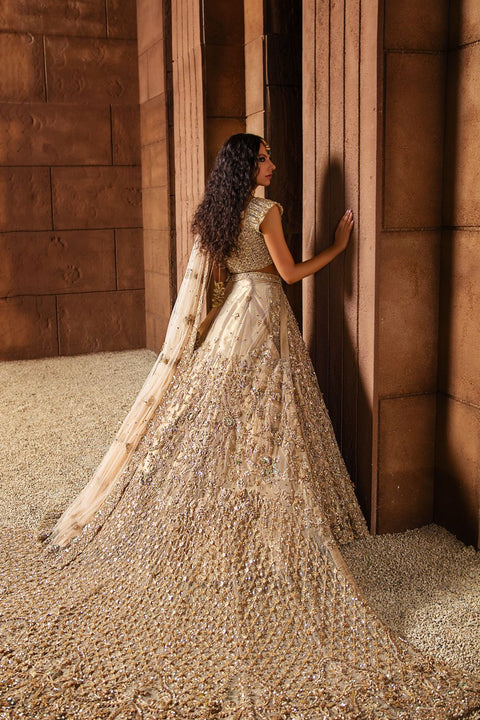 Pakistani Wedding Dress long tail