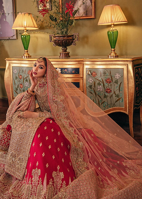 Pakistani Bridal  Lehnga Kameez dress