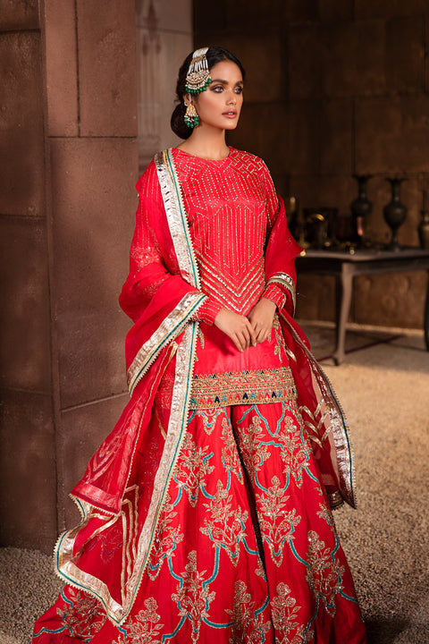 Pakistani Bridal Sharara 