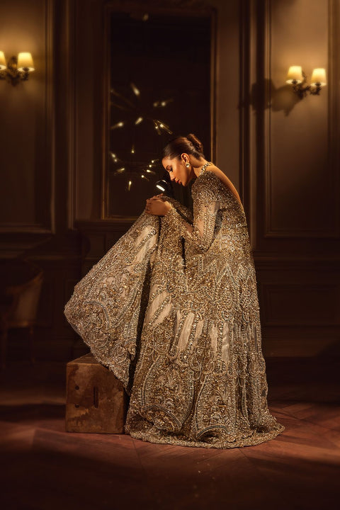 Pakistani Gown Dress