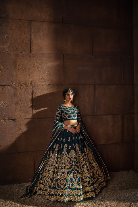 Pakistani Bridal Lehnga Choli 