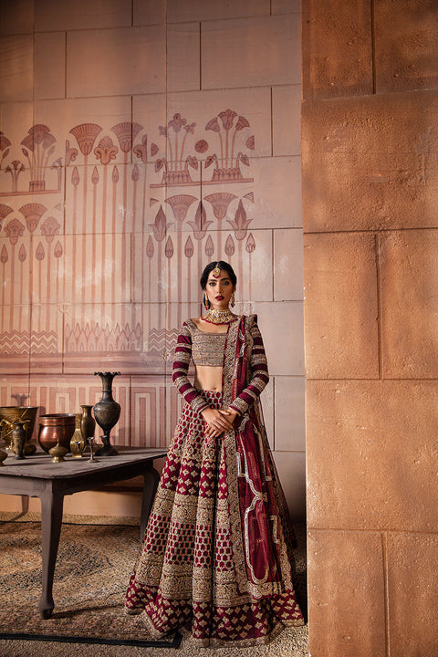 Bridal wedding Dress in Red Maroon Color