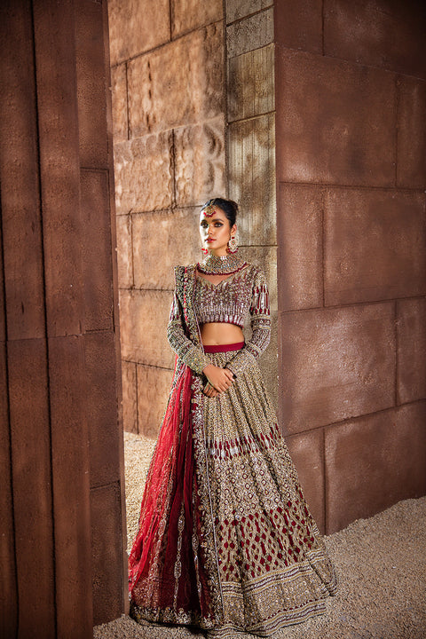 Pakistani wedding Dress