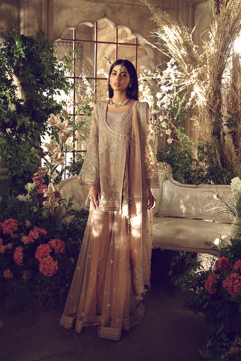 SETAREH PINK (AA-180666)