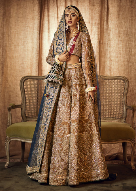 Traditional Pakistani Wedding Dress Lehnga Choli Style