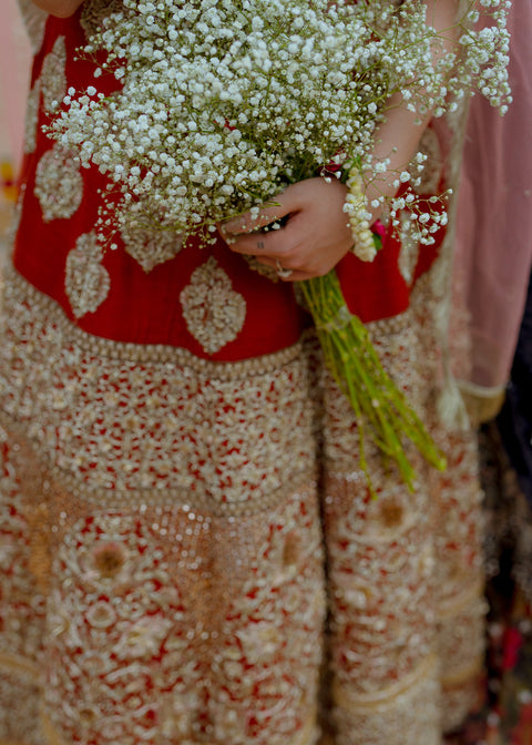 Lehnga Choli dress 