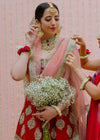 Pakistani Bridal Red Lehnga Choli dress 