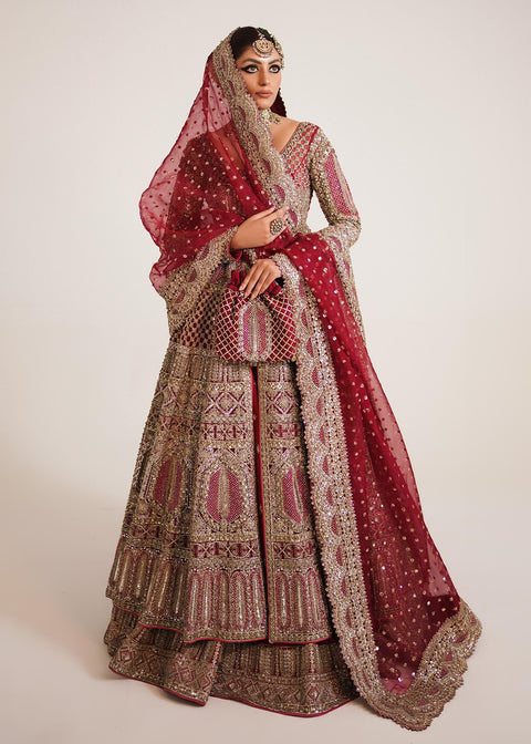 Wedding Red Lehnga Gown Dress 