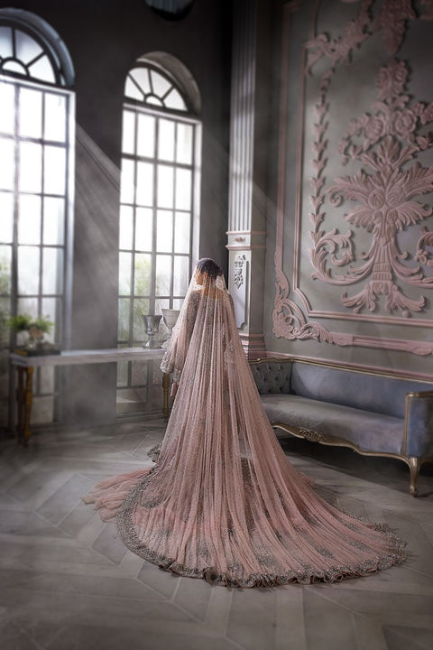  Pakistani  Tail Gown Dress