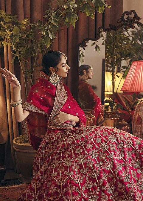 Red Lehnga Dress (Amar)
