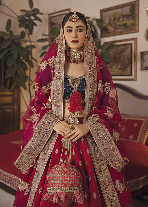 Bridal Red Lehnga Choli Pakistani Wedding Dress