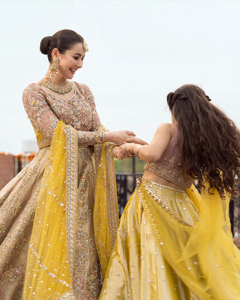 Bridal Pakistani wedding Dress 