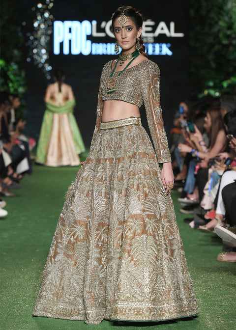 Traditional Pakistani Wedding Dress Lehnga Choli Style