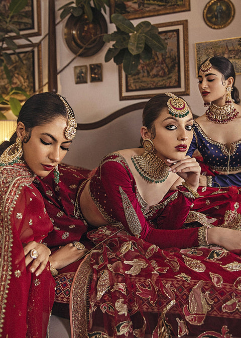 maroon Lehnga Choli Dress (Zeb)