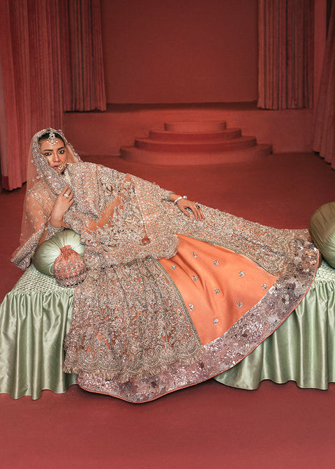 Pakistani Walima Wedding frock