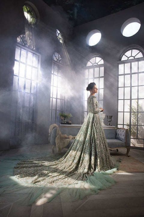 Bridal Pakistani Tail Gown Dress