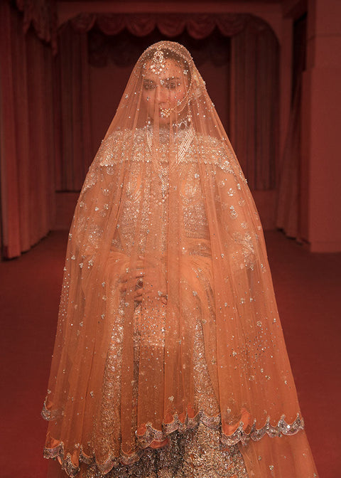 Walima Wedding Dress with elegant dupatta