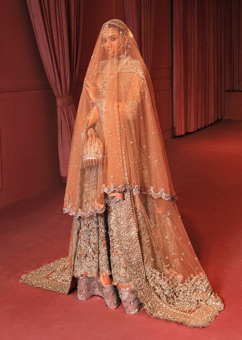 Pakistani Wedding Dress
