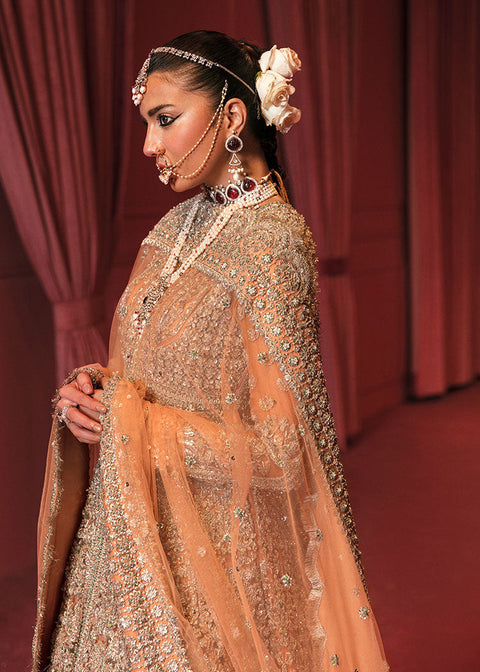 Bridal Pakistani Walima Wedding Dress