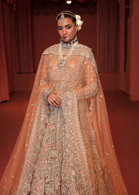 Walima Wedding Dress in royal style 