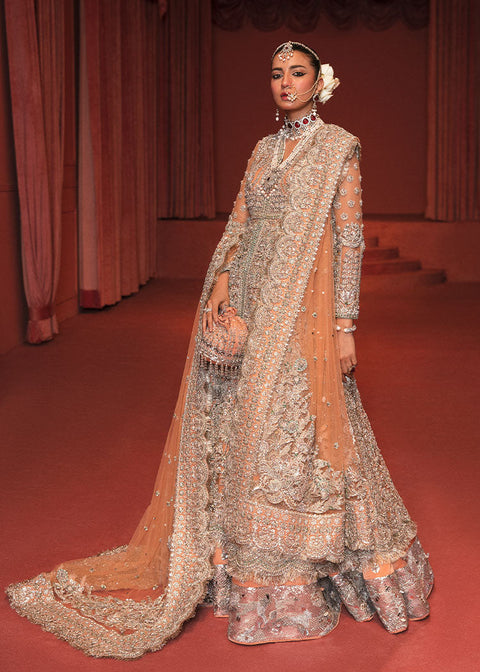 Bridal Pakistani Walima Wedding Dress