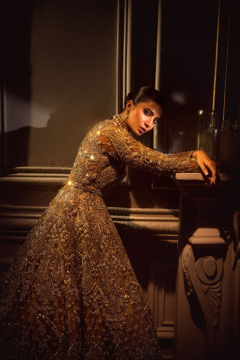 Beautiful Pakistani Bridal Tail Gown