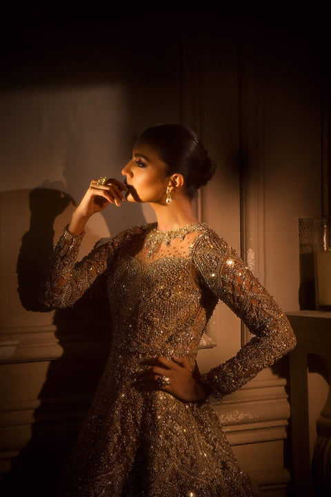 Pakistani Bridal  long Tail Gown
