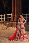 Beautiful Pakistani Bridal Dresses in Red Lehenga Choli